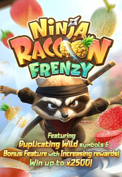Ninja Raccoon Frenzy
